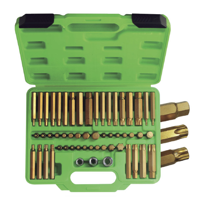 BITOVI 55-DIJELNI SET -IMBUSI, ZVJEZDA, TORX NA 3/8 I 1/2”